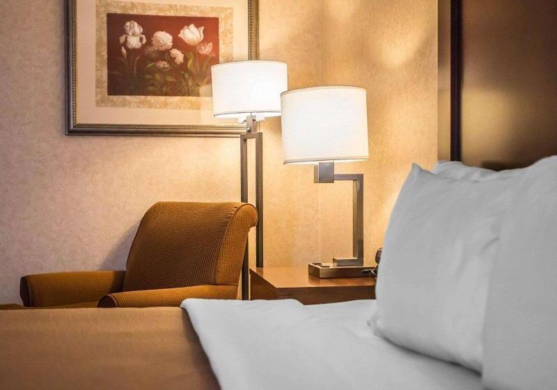 Стандартный Номер Кровать Кинг, Comfort Inn Pocono Lakes Region