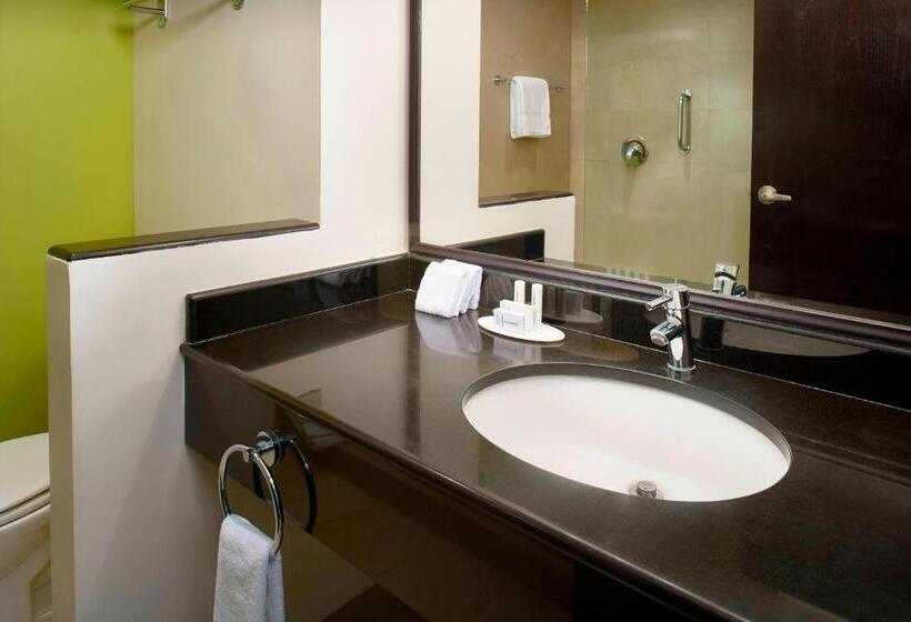 חדר סטנדרט עם מיטת קינג, Fairfield By Marriott Los Cabos