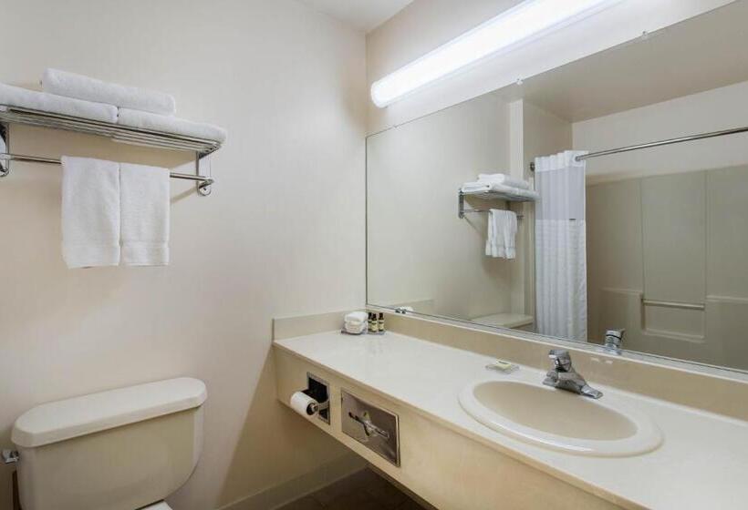 Номер Стандарт, Hawthorn Suites By Wyndham Allentownfogelsville