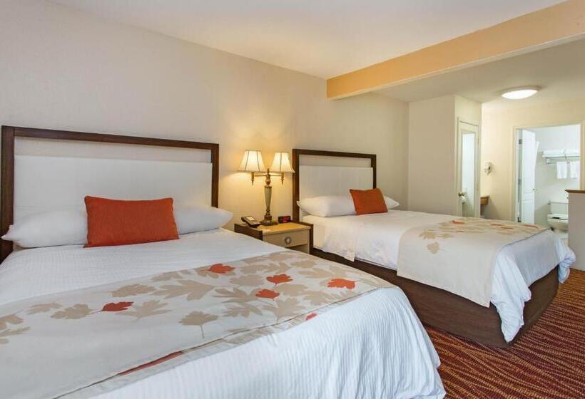 Номер Стандарт, Hawthorn Suites By Wyndham Allentownfogelsville