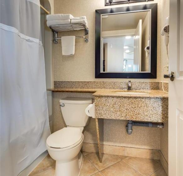 Люкс Кровать Кинг, Monte Carlo Inn & Suites Downtown Markham