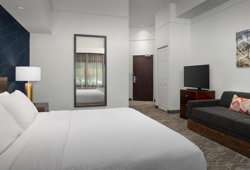 Люкс Кровать Кинг, Springhill Suites By Marriott Portland Vancouver