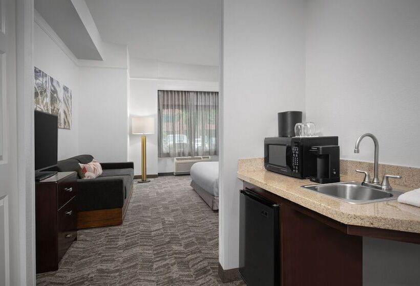 Люкс, Springhill Suites By Marriott Portland Vancouver