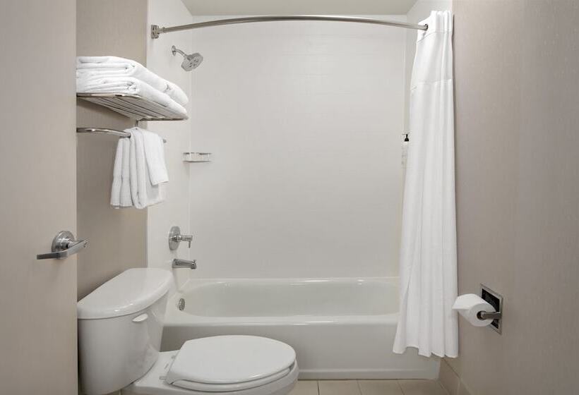 Люкс, Springhill Suites By Marriott Portland Vancouver