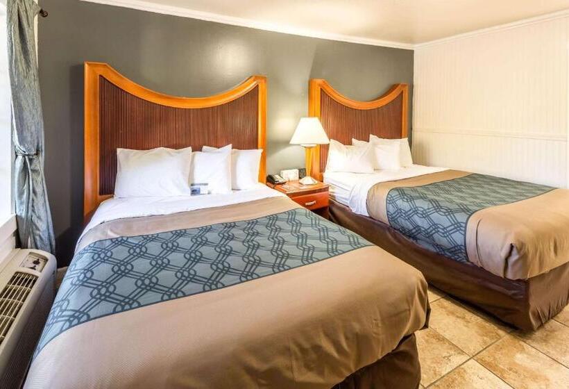 Номер Стандарт, Econo Lodge Inn & Suites Heavenly Village Area