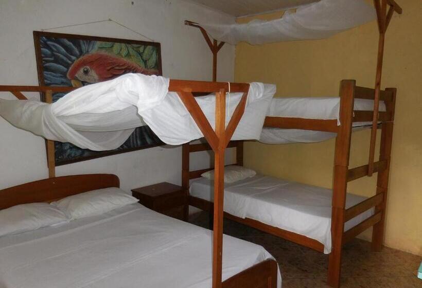 غرفة قياسية حمام مشترك, Tambopata Hostel