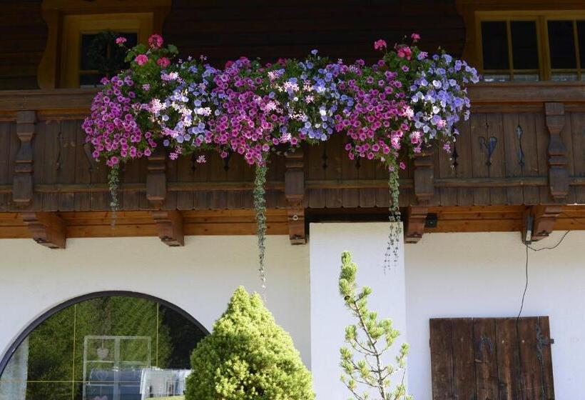 Апартаменты 1 Спальня с Балконом, Gasthof Enzian