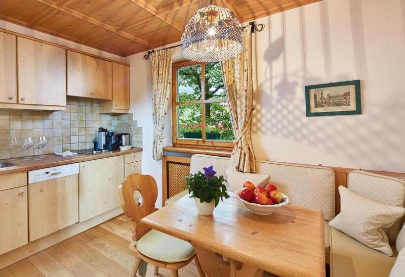 آپارتمان سوپریور 1 خوابه, Landsitz Römerhof   Hotel Apartments