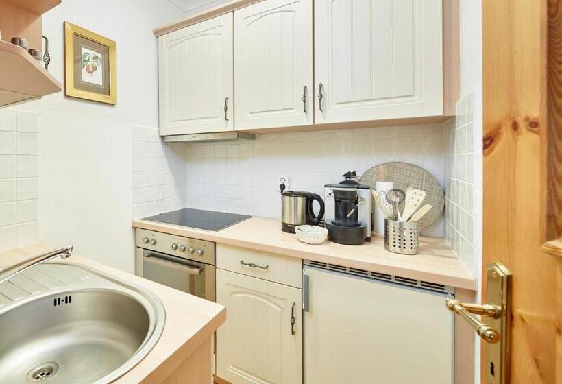 آپارتمان راحتی 1 خوابه, Landsitz Römerhof   Hotel Apartments