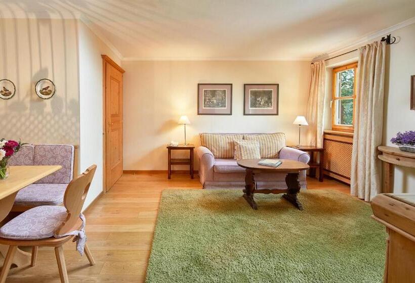 آپارتمان کلاسیک 1 خوابه, Landsitz Römerhof   Hotel Apartments