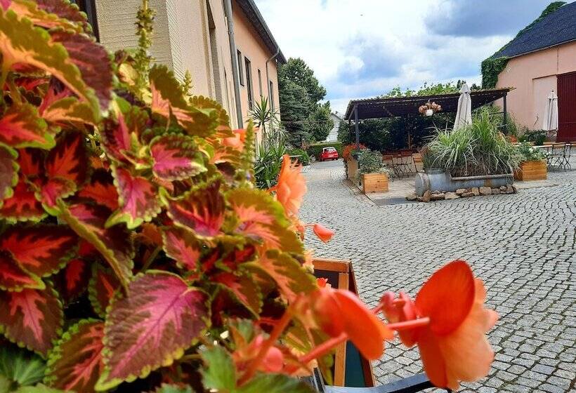 Номер Комфорт, Pension Marlis