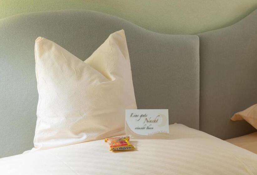 Номер Стандарт Индивидуальный, Goldener Schwan Hotel Garni