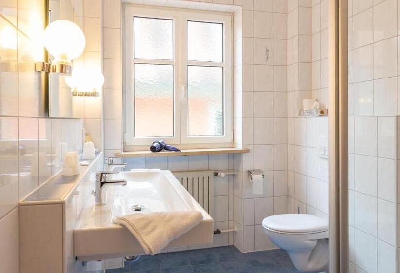 Номер Стандарт Трехместный, Goldener Schwan Hotel Garni
