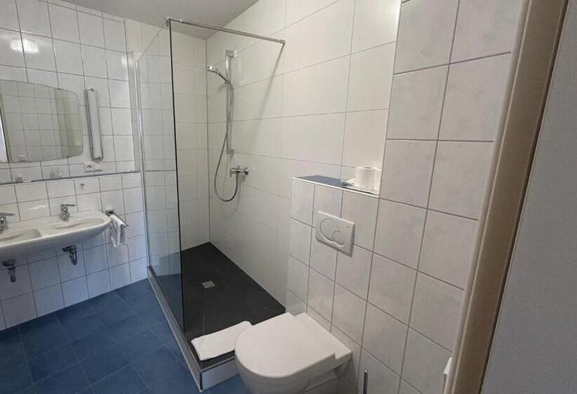 Номер Стандарт Трехместный, Goldener Schwan Hotel Garni