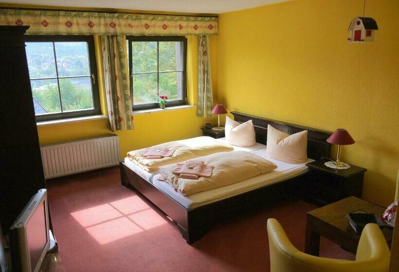 Номер Стандарт, Parkhotel Schwarzenberg   Garni