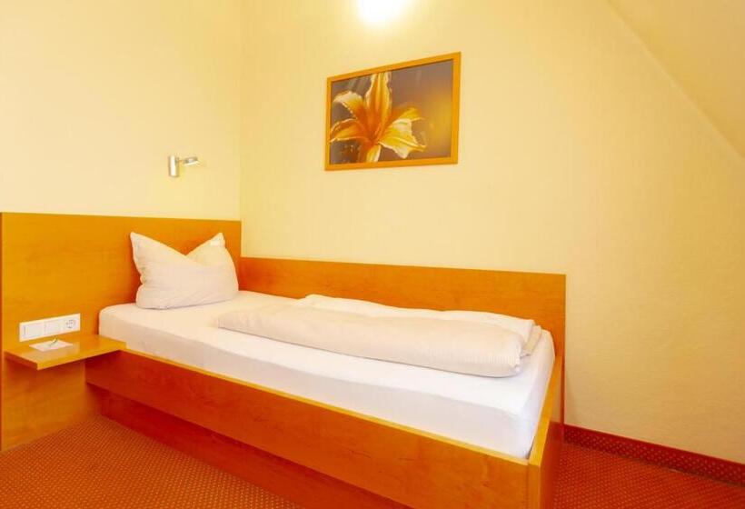 Номер Стандарт Индивидуальный, Parkhotel Traunstein