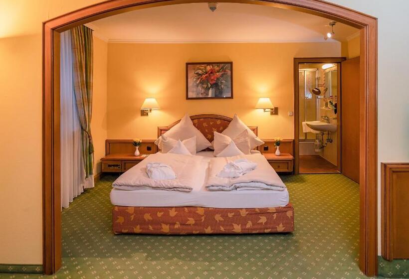 Полулюкс, Parkhotel Traunstein