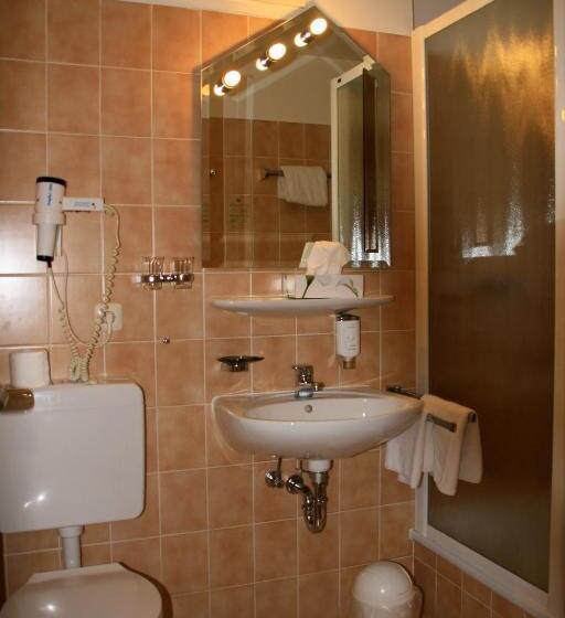 스탠다드 싱글 룸, Stadt Hotel Lörrach Gbr