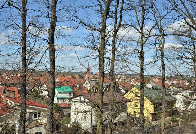 Стандартный Номер Кровать Кинг, Protea Bolesławiec