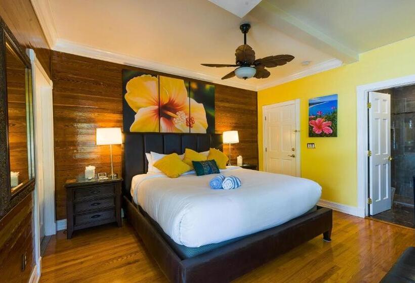 חדר דחוקס עם מיטת קינג, Duval Inn   Key West