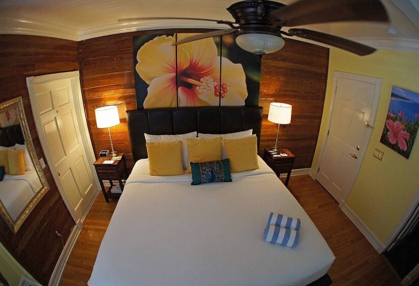 חדר דחוקס עם מיטת קינג, Duval Inn   Key West
