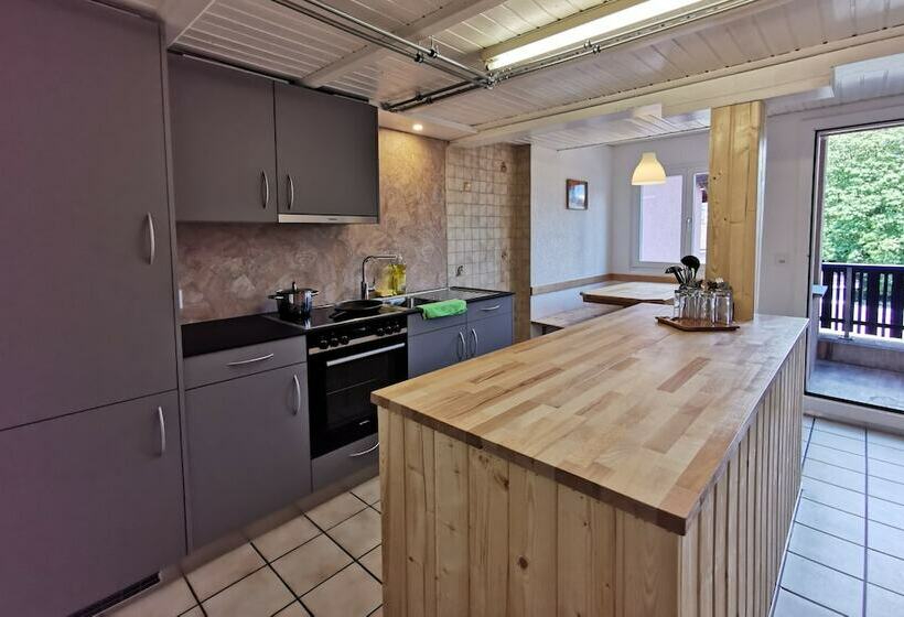 آپارتمان کامفورت 2 خوابه, Interlaken Höhematte Apartment