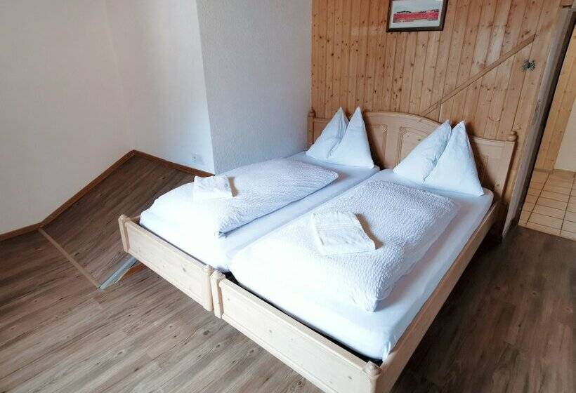 آپارتمان کامفورت 2 خوابه, Interlaken Höhematte Apartment