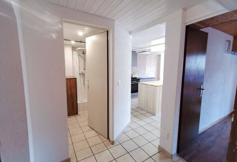 آپارتمان کامفورت 2 خوابه, Interlaken Höhematte Apartment