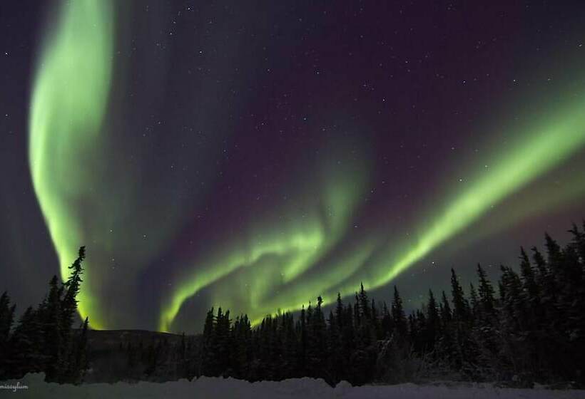Апартаменты 1 Спальня, Alaska Haven