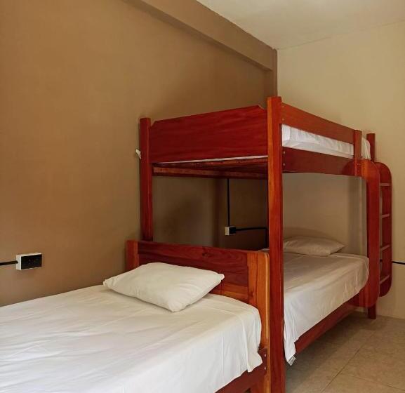 컴포트 트리플 룸, Bijao Hostel