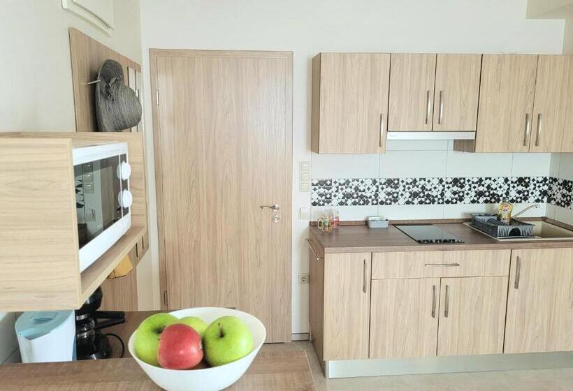 Апартаменты 1 Спальня с Террасой, Silver Lodge Vendégház Egerszalók