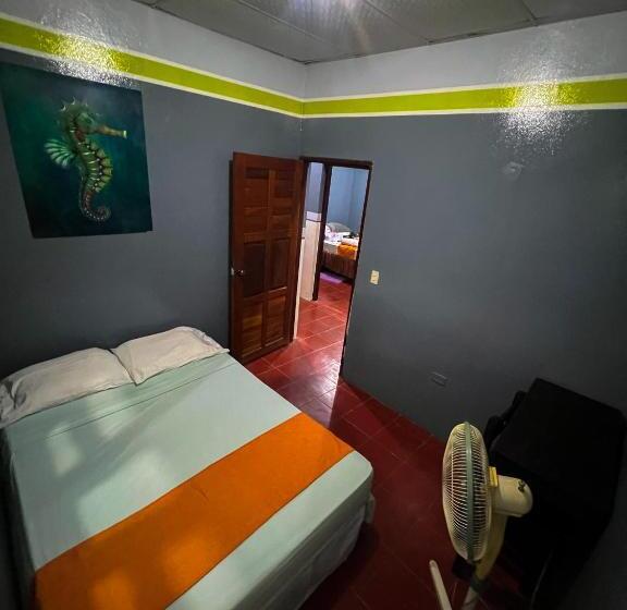 Номер Стандарт, Hostal Tortuga Viajera