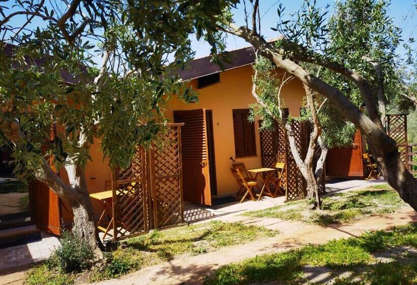 Номер Стандарт, La Corte Degli Ulivi   Albergo Rurale