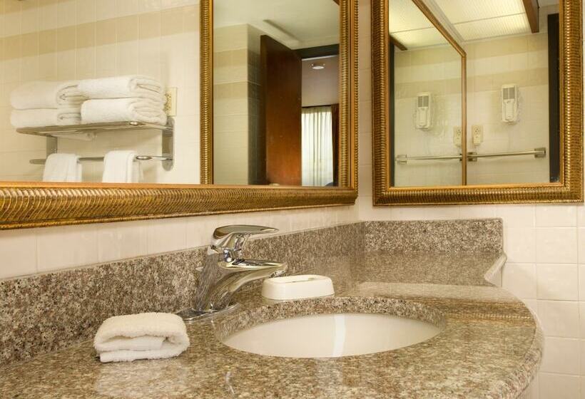 Номер Deluxe Адаптированный для Инвалидов, Drury Inn & Suites Joplin