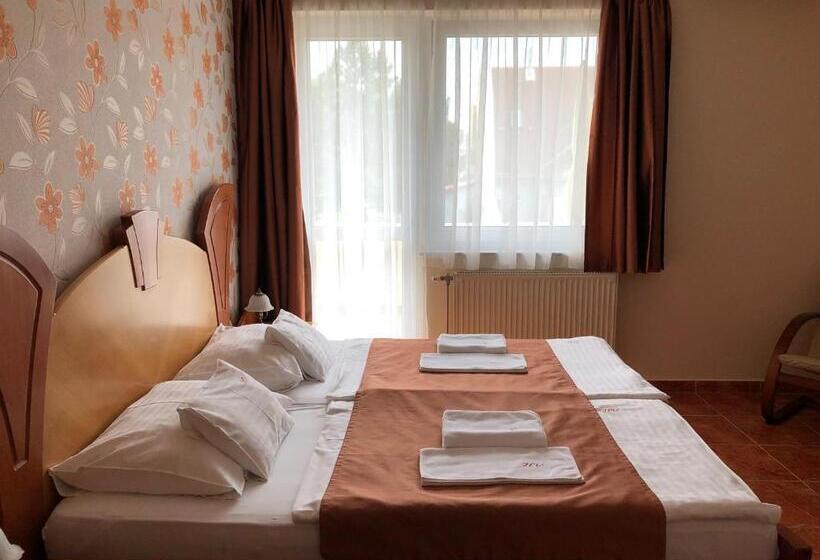 Номер Стандарт, Hét Vezér Apartman