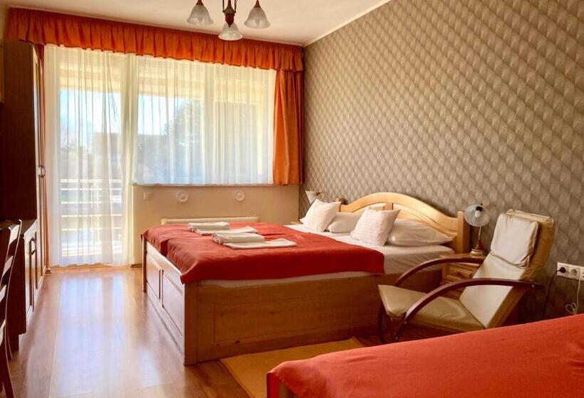 Номер Стандарт Трехместный, Hét Vezér Apartman