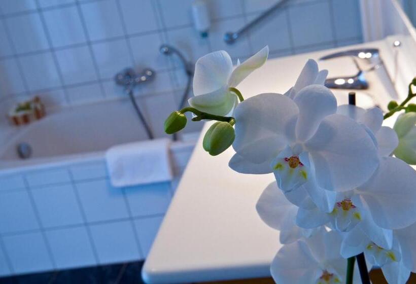 اتاق سوپریور, Cocoon Hotel Belair