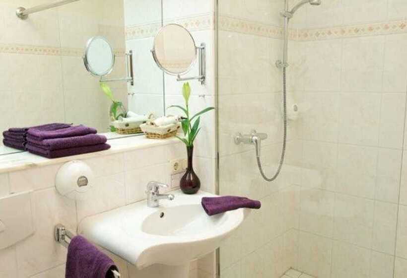 Номер Стандарт, Parkhotel   Rosarium