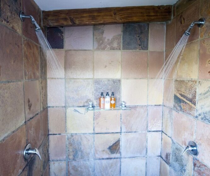 스위트, Elephant Hide Of Knysna Guest Lodge