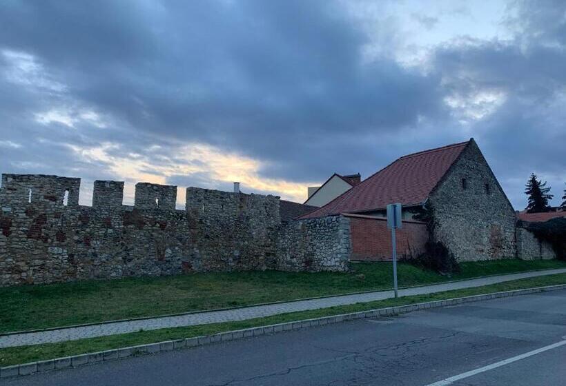 Трехместный Номер Стандарт с Видом, Várfal Wellness Panzió