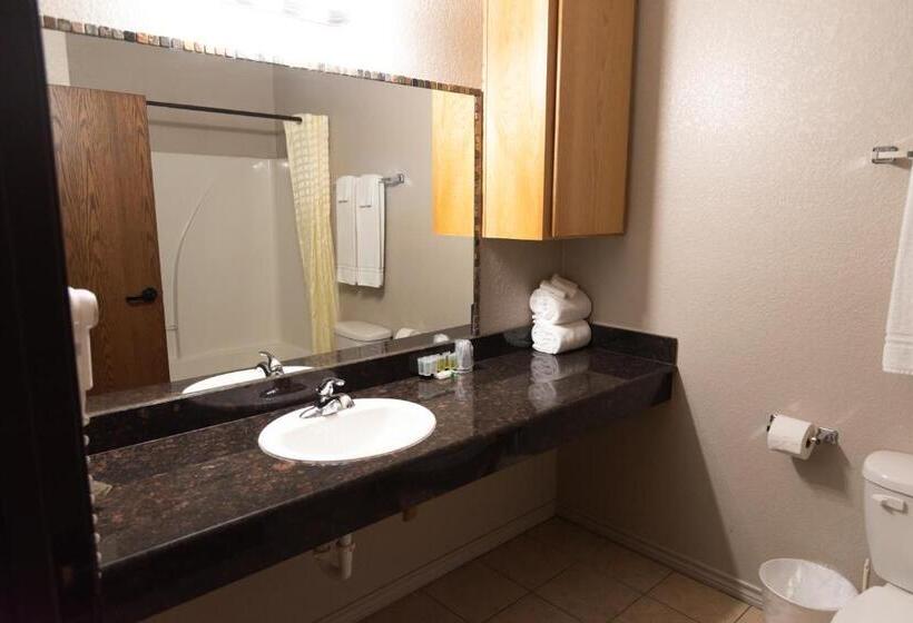 带大床的复式套间, Premium Inn And Suites
