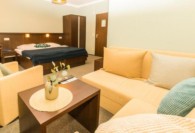 Номер Стандарт Вид на Озеро, Strandhotel Senftenberger See