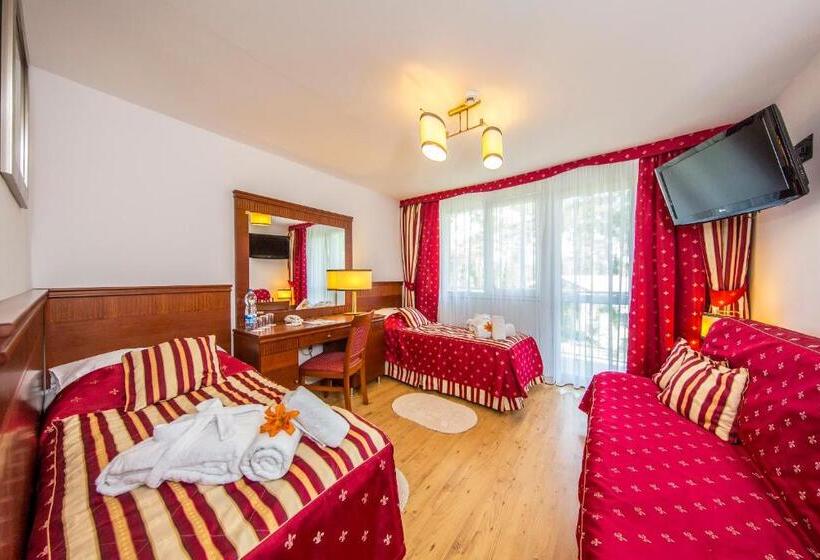 Номер Стандарт, Aquapark Health Resort & Medical Spa Panorama Morska All Inclusive