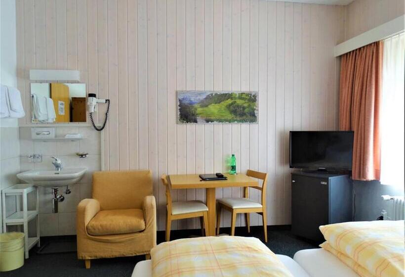 اتاق استاندارد با سرویس بهداشتی مشترک, Bündnerhof