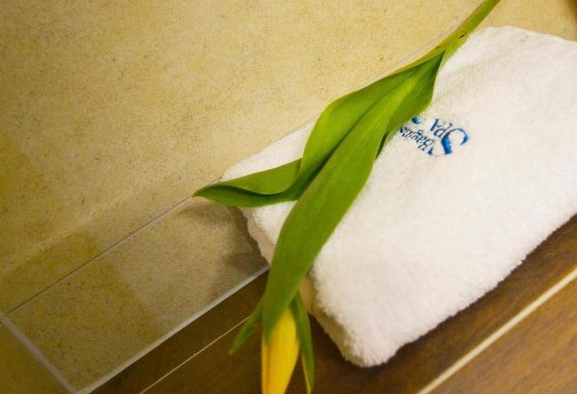 Номер Стандарт, Bagińscy Spa