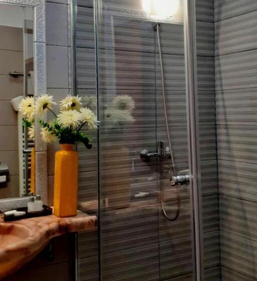 Номер Стандарт, Sungarden Salin