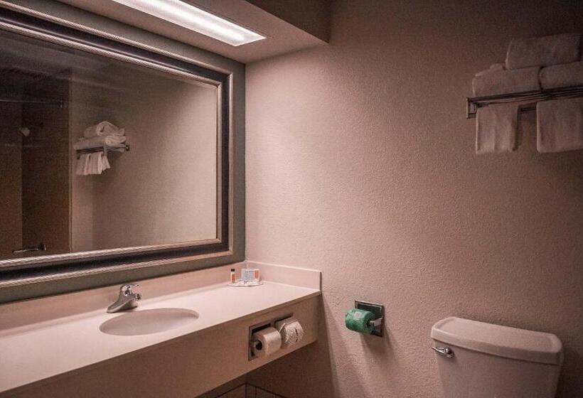 Номер Стандарт Индивидуальный, American Inn & Suites