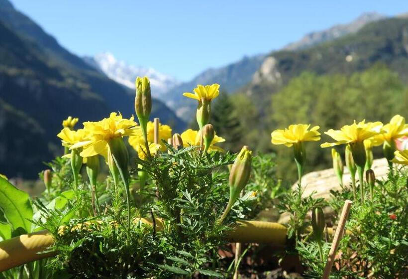 Номер Стандарт Совместная Ванная, B&b Alpe Veglia