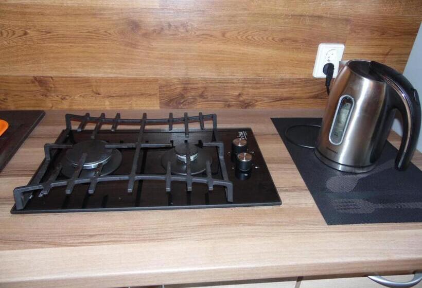 اتاق خانوادگی با چشمانداز باغ, Zelta Pirts Guest House