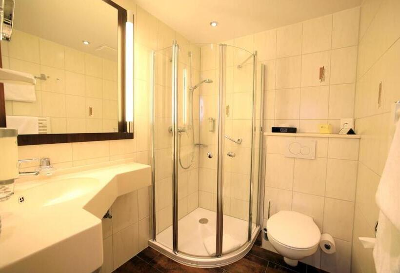 Номер Комфорт, Landidyll Hotel Restaurant Birkenhof